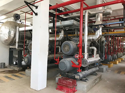 Captura y procesamiento de productos pesqueros