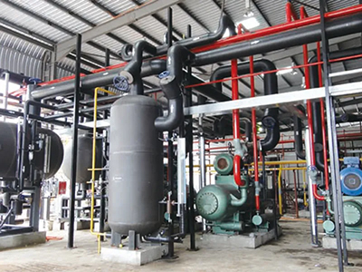 Proyecto de procesamiento de pollos de engorde de Malasia