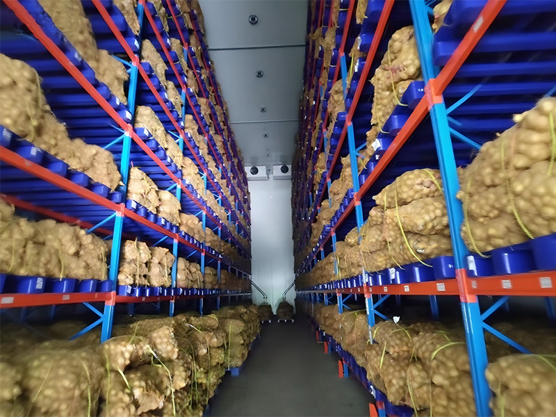 Proyecto de optimización del almacenamiento frigorífico para la industria alimentaria en Indonesia