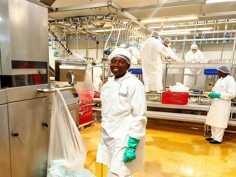 Proyecto de equipo de congelación en espiral para BC Company, Sudáfrica