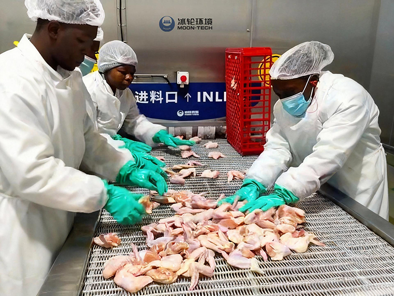 Proyecto de equipo de congelación en espiral para BC Company, Sudáfrica