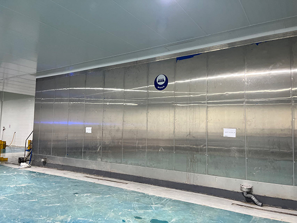 Congelador IQF para proyecto de procesamiento de fresas en Egipto